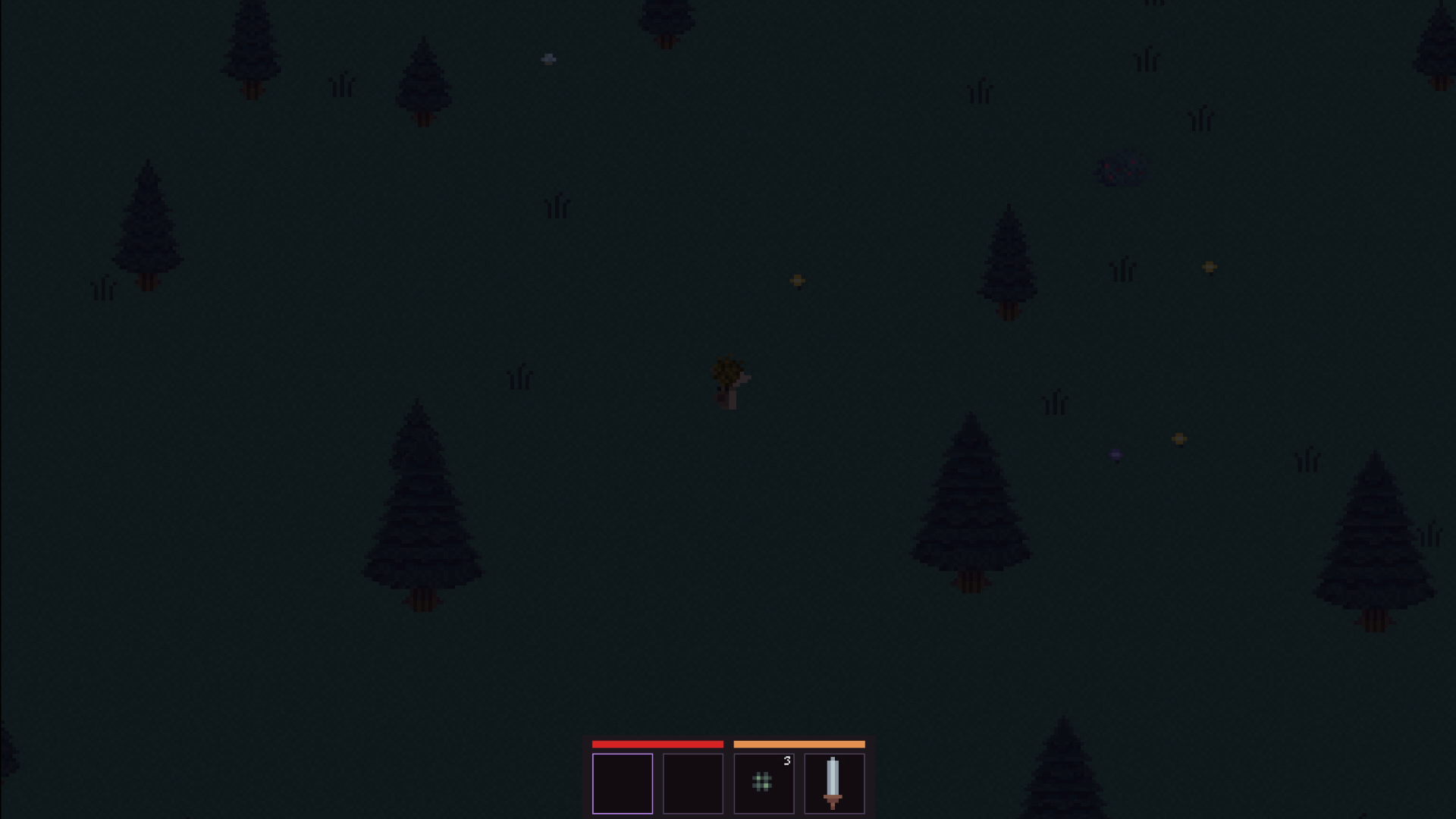 Night falls over the forest